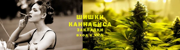 дурь Бородино