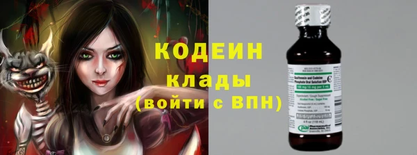 дурь Бородино