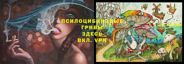 шишки Бронницы