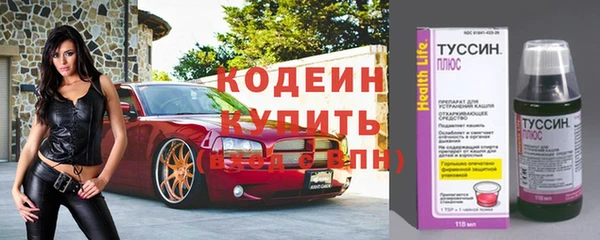 шишки Бронницы