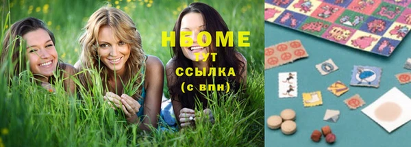 шишки Бронницы