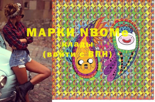 шишки Бронницы