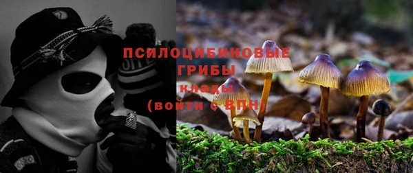 шишки Бронницы