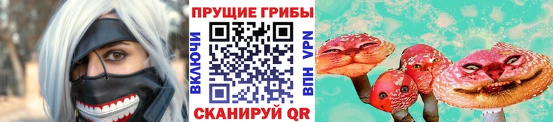 дарнет шоп  Новосокольники  Галлюциногенные грибы MAGIC MUSHROOMS 
